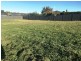 59 Caroline Chisholm Drive, Kyneton VIC 3444