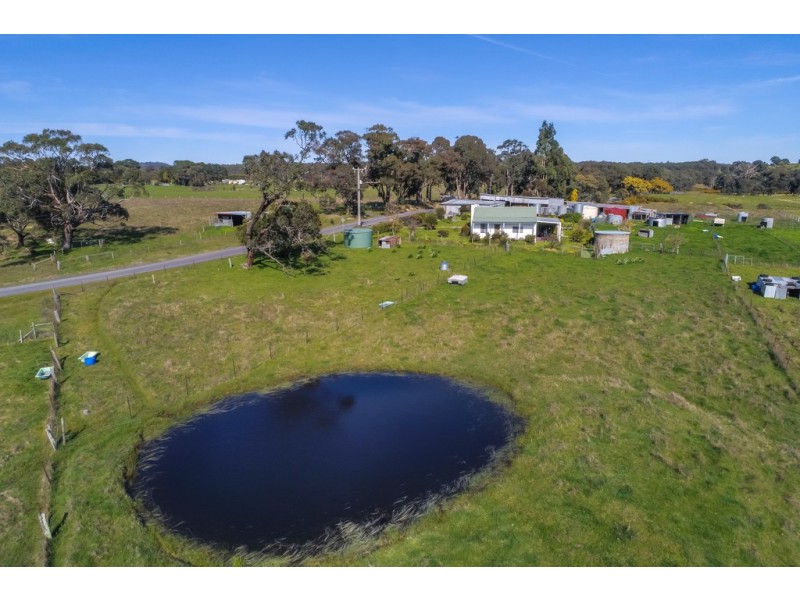 10 Scobles Road, Drummond VIC 3461