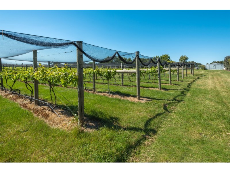 270 Sebastopol Road, Kyneton VIC 3444