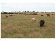 407 Sebastopol Road*, Kyneton VIC 3444