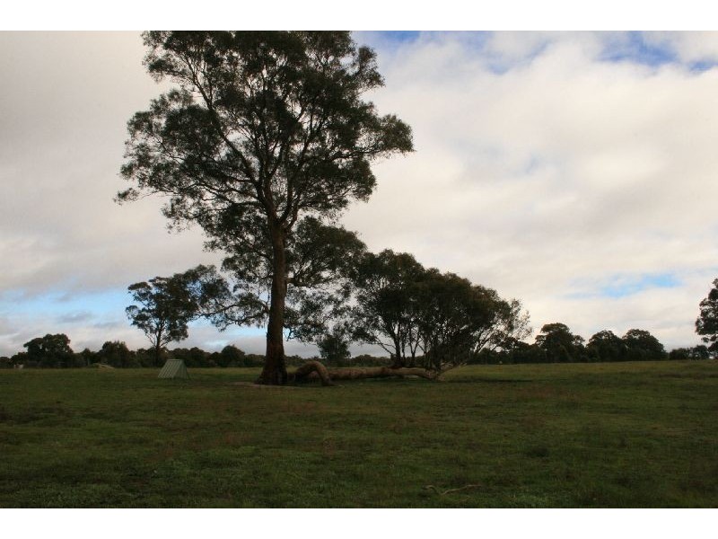 29 David Drive, Taradale VIC 3447