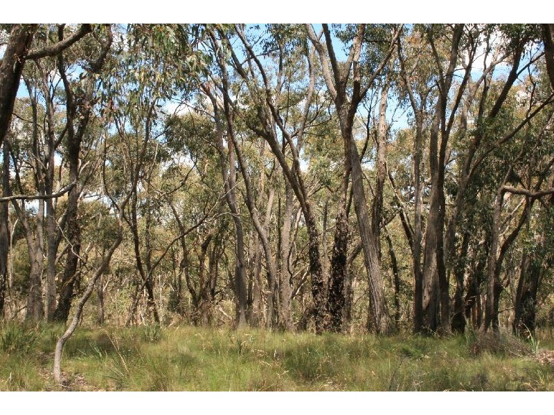 LOT 18 NALYA COURT DRUMMOND NORTH VIA KYNETON, Kyneton VIC 3444