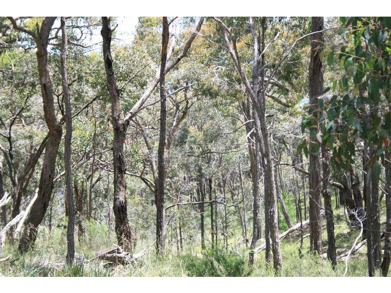 Lot 18 NALYA COURT DRUMMOND NORTH VIA KYNETON*, Kyneton VIC 3444