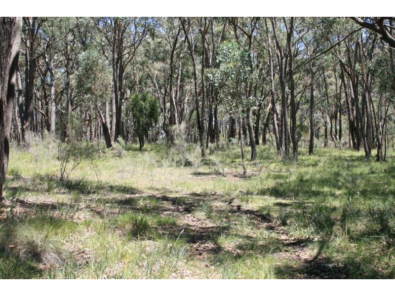 319 Taradale Road, Drummond North VIC 3446