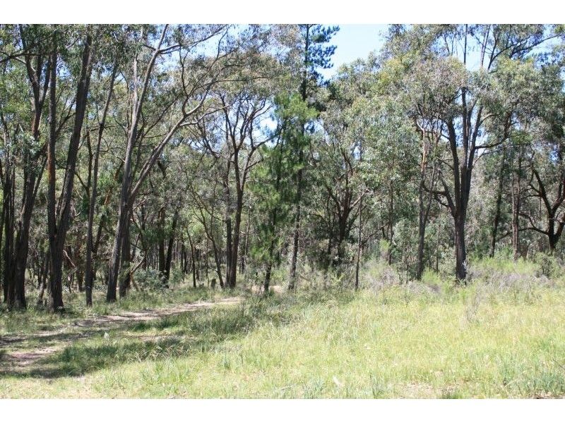 319 Taradale Road, Drummond North VIC 3446
