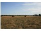 lot 243 Malmsbury East Road, Malmsbury VIC 3446