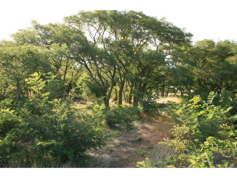 lot 243 Malmsbury East Road, Malmsbury VIC 3446