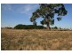 lot 243 Malmsbury East Road, Malmsbury VIC 3446