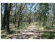 319 TARADALE RD, Drummond North VIC 3446