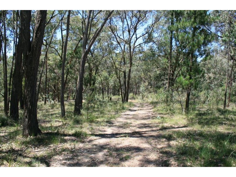 319 TARADALE RD, Drummond North VIC 3446
