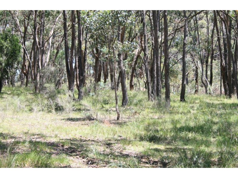 319 TARADALE RD, Drummond North VIC 3446