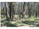 319 TARADALE RD, Drummond North VIC 3446