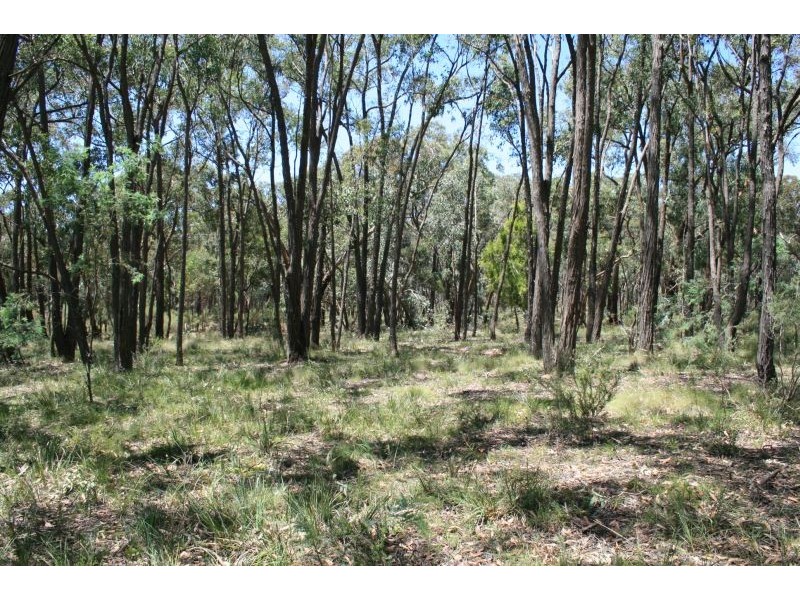 319 TARADALE RD, Drummond North VIC 3446