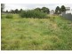 19 Palmer Place, Kyneton VIC 3444