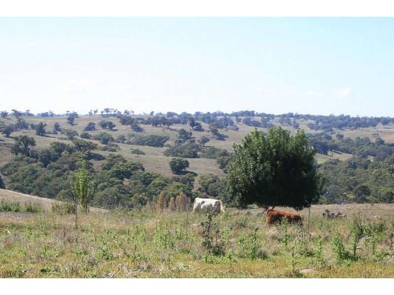 2019 SUTTON GRANGE RD, Redesdale VIC 3444