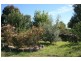 2019 SUTTON GRANGE RD, Redesdale VIC 3444