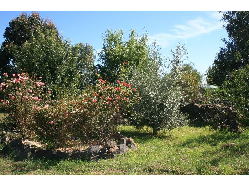 2019 SUTTON GRANGE RD, Redesdale VIC 3444