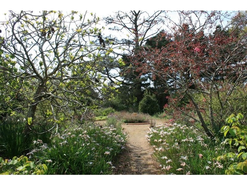 49 WHITE AVENUE, Romsey VIC 3434