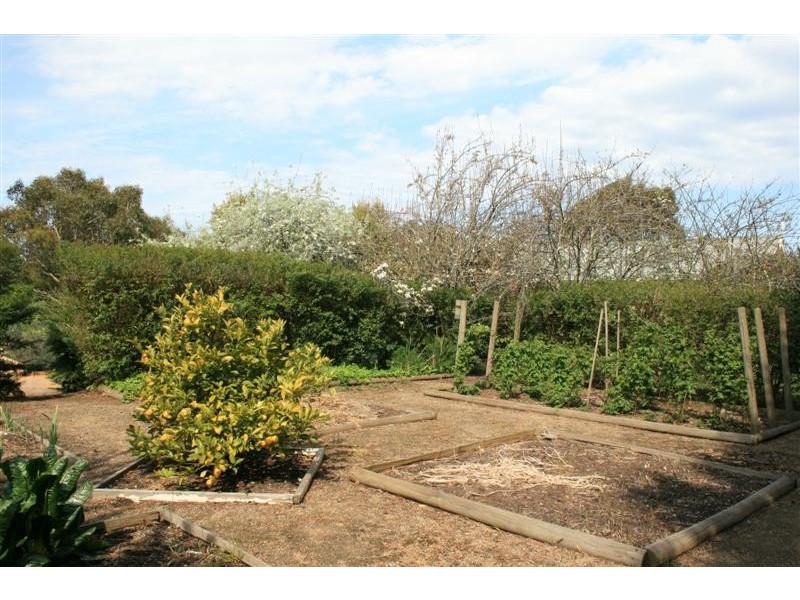 49 WHITE AVENUE, Romsey VIC 3434