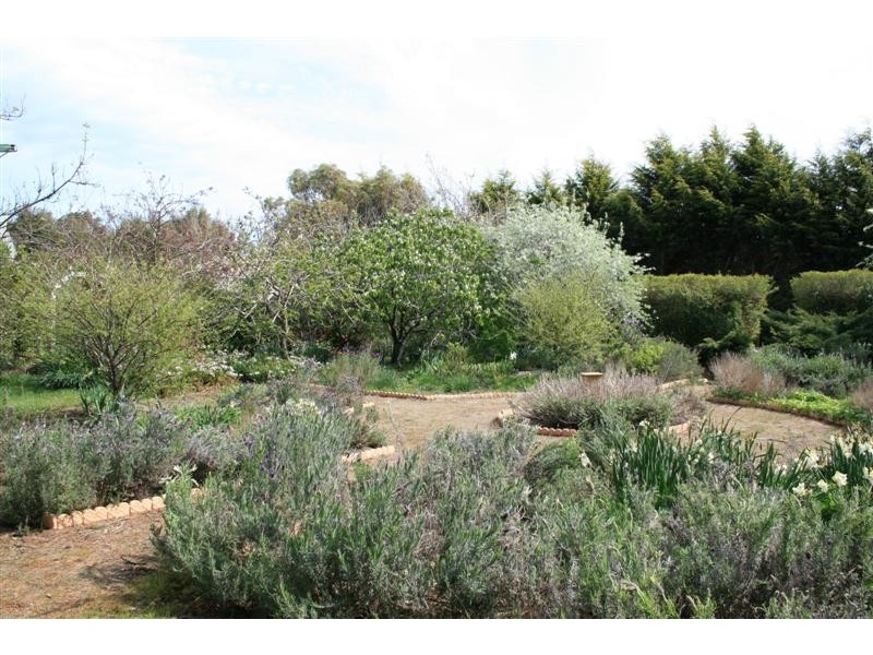 49 WHITE AVENUE, Romsey VIC 3434