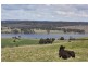 134  COLIBANS DOWN ROAD. ., Kyneton VIC 3444