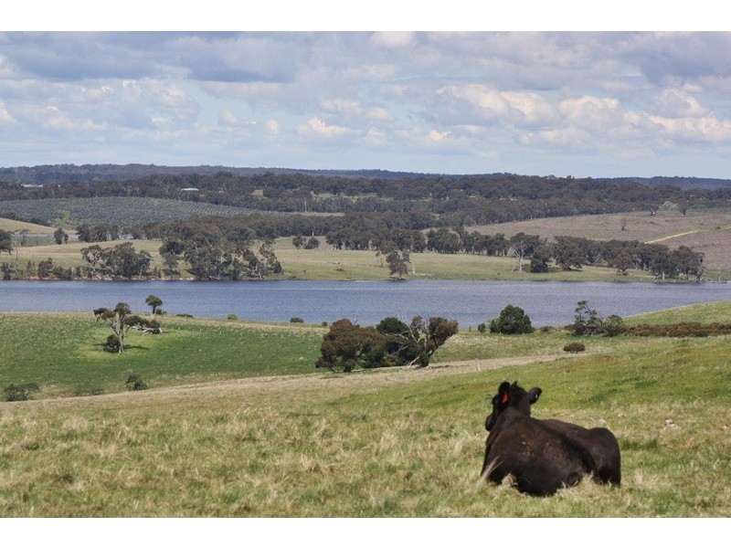 134  COLIBANS DOWN ROAD. ., Kyneton VIC 3444