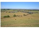 134  COLIBANS DOWN ROAD. ., Kyneton VIC 3444