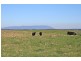 134  COLIBANS DOWN ROAD. ., Kyneton VIC 3444
