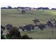 134  COLIBANS DOWN ROAD. ., Kyneton VIC 3444