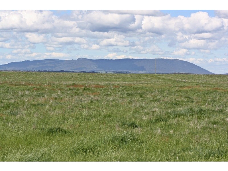 134 Coliban Downs Road (via Kyneton), Spring Hill VIC 3444