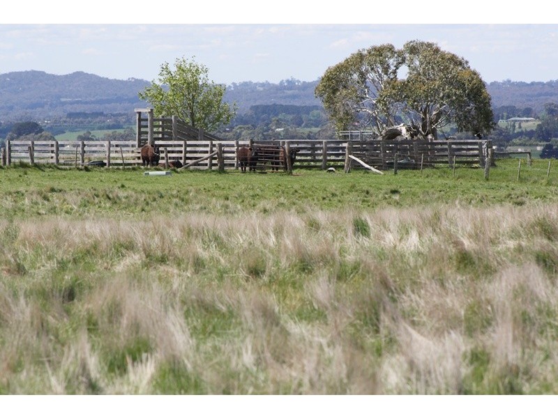 134 Coliban Downs Road (via Kyneton), Spring Hill VIC 3444