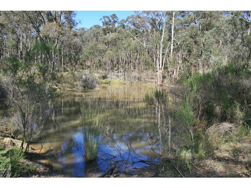 359 TARADALE RD, Drummond North VIC 3446