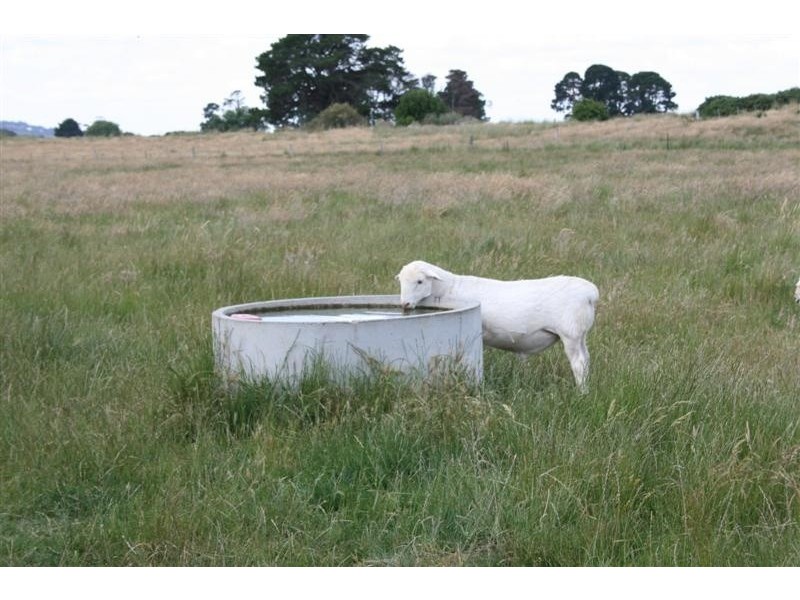 81 Breakneck Road, Malmsbury VIC 3446