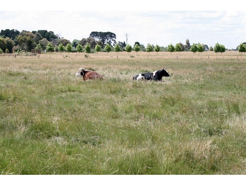 81 Breakneck Road, Malmsbury VIC 3446