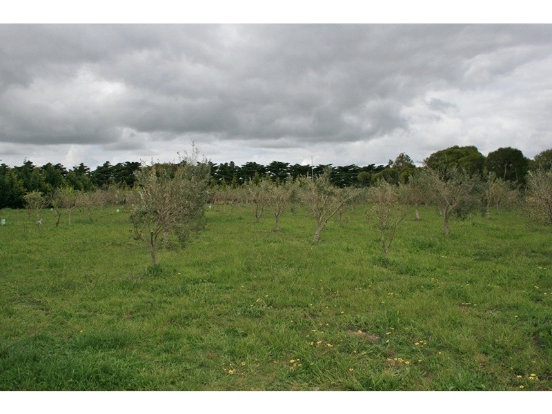 239 BOGGY GATE RD, Clarkefield VIC 3430