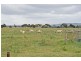 239 BOGGY GATE RD, Clarkefield VIC 3430