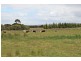 239 BOGGY GATE RD, Clarkefield VIC 3430