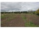 239 BOGGY GATE RD, Clarkefield VIC 3430