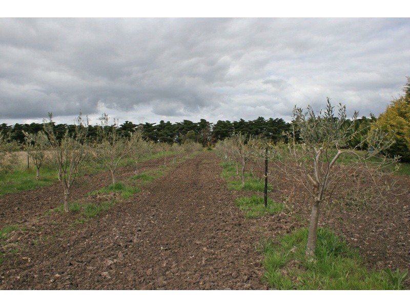 239 BOGGY GATE RD, Clarkefield VIC 3430