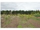 239 BOGGY GATE RD, Clarkefield VIC 3430
