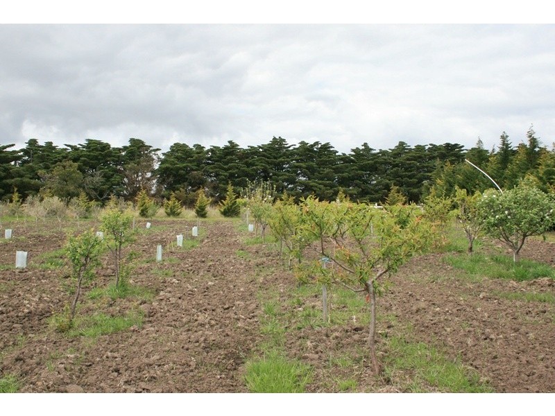 239 BOGGY GATE RD, Clarkefield VIC 3430