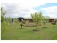 239 BOGGY GATE RD, Clarkefield VIC 3430