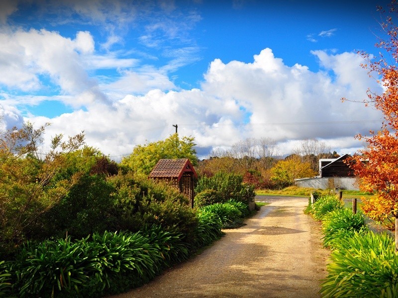 21 Campbell Street, Malmsbury VIC 3446