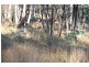184 Leared Drive, Kyneton VIC 3444