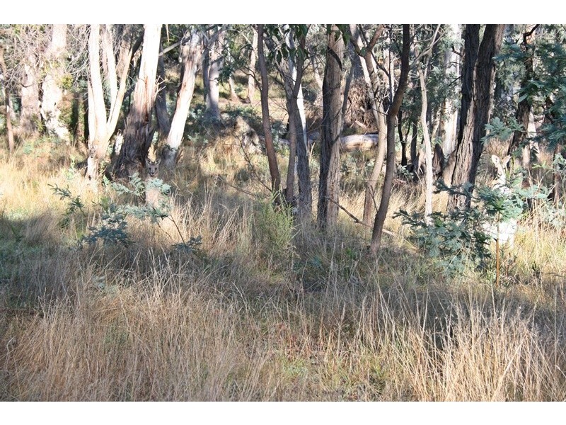 184 Leared Drive, Kyneton VIC 3444