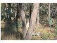 184 Leared Drive, Kyneton VIC 3444