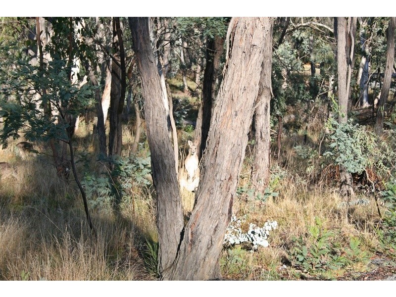 184 Leared Drive, Kyneton VIC 3444