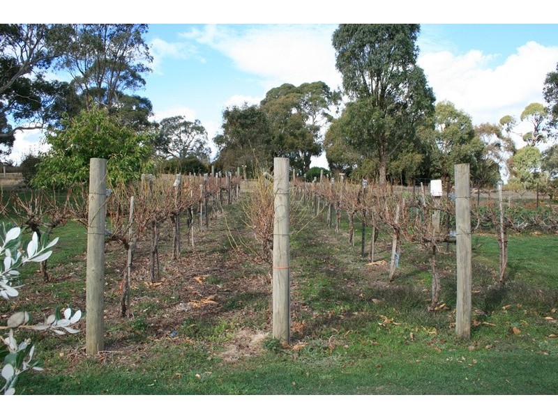 132 NORTHUMBERLAND ROAD, Kyneton VIC 3444