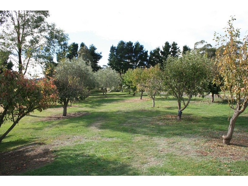 132 NORTHUMBERLAND ROAD, Kyneton VIC 3444