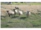 132 NORTHUMBERLAND ROAD, Kyneton VIC 3444